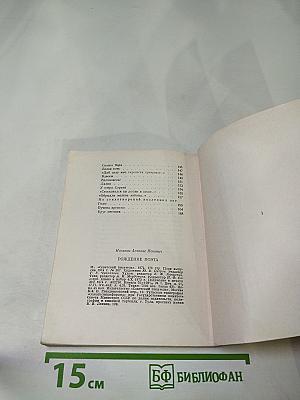 Рождение Поэта