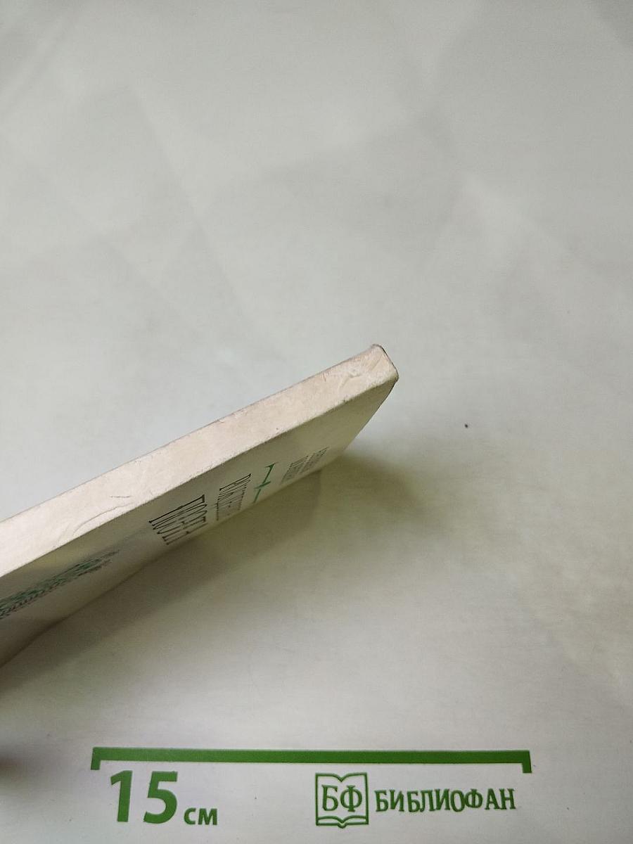 Рождение Поэта