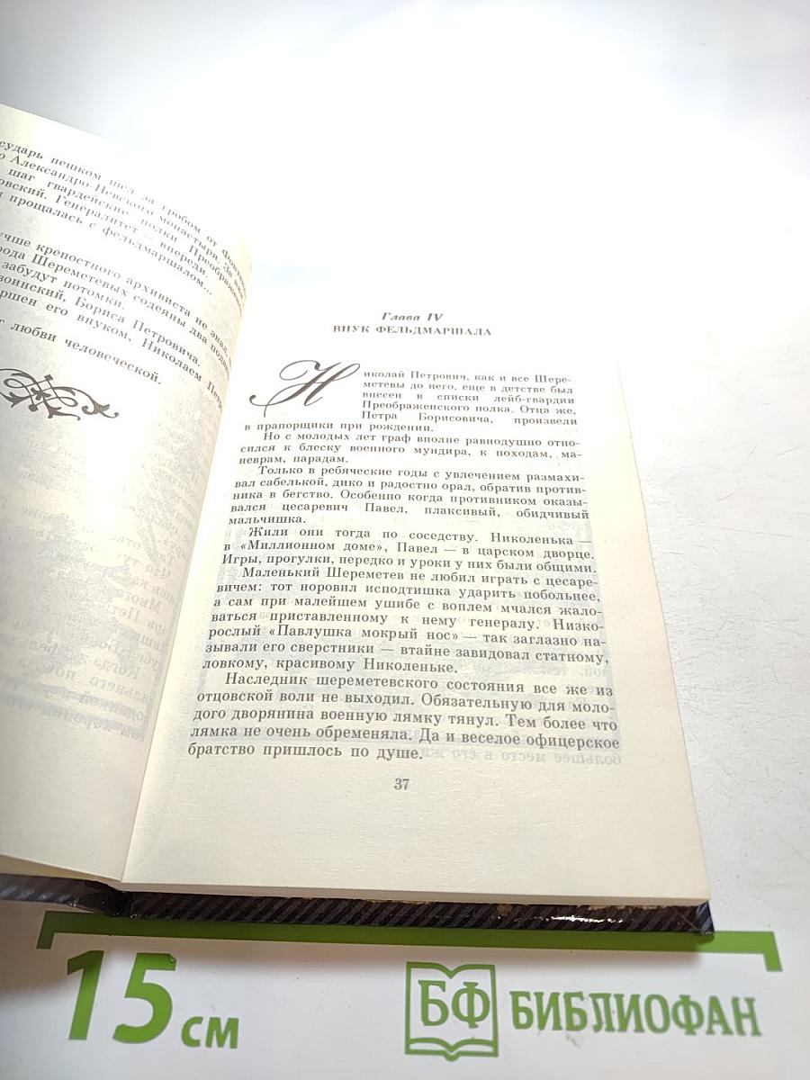 Фонтанный дом