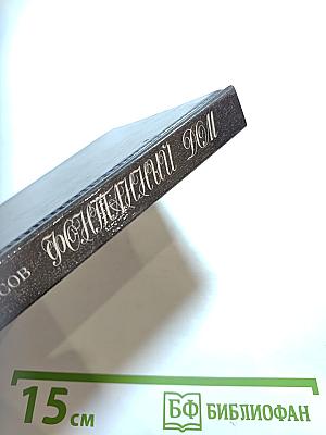 Фонтанный дом