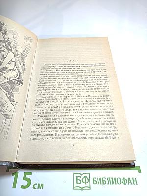 Пограничный легион. Нарушители закона