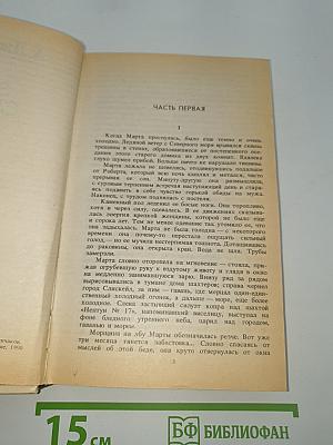 Звезды смотрят вниз