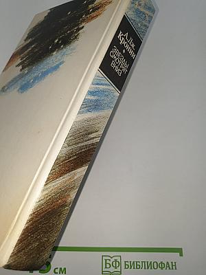 Звезды смотрят вниз