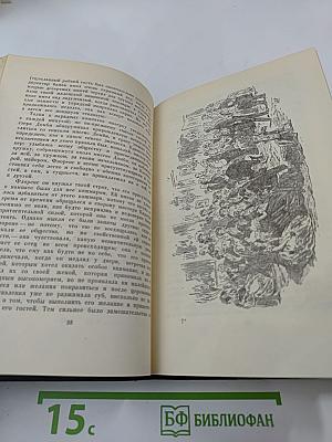 Торговый дом Домби и сын. Том четырнадцатый. Главы XXXI-LXII