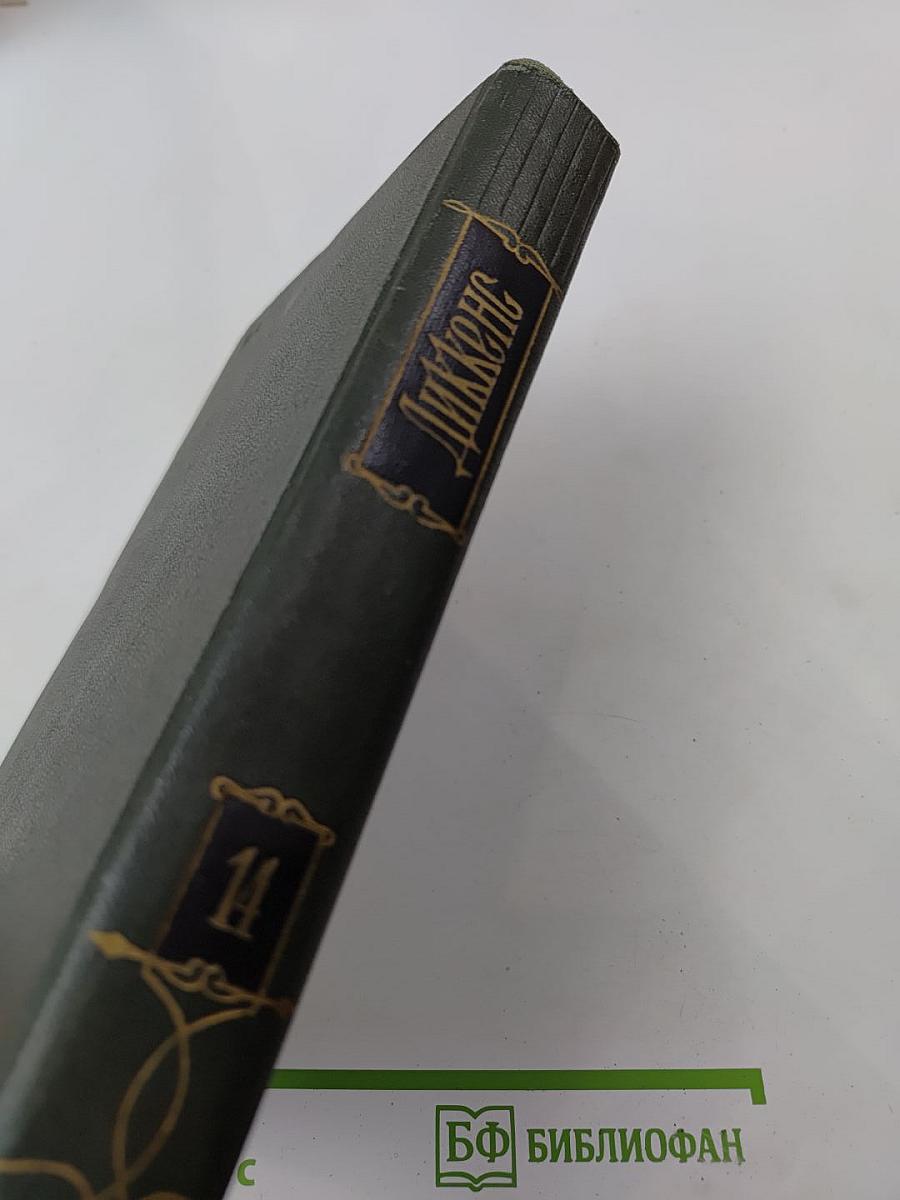 Торговый дом Домби и сын. Том четырнадцатый. Главы XXXI-LXII