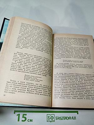 Я лучшей доли не искал... Судьба Александра Блока в письмах, дневниках, воспоминаниях