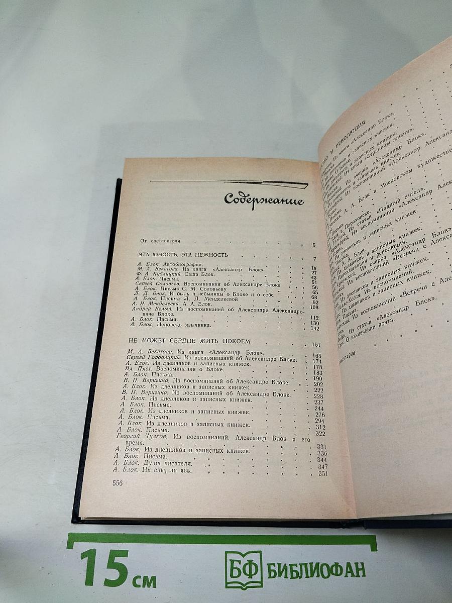 Я лучшей доли не искал... Судьба Александра Блока в письмах, дневниках, воспоминаниях