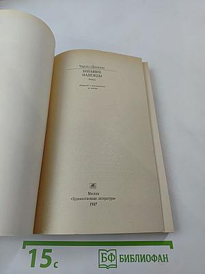 Большие надежды