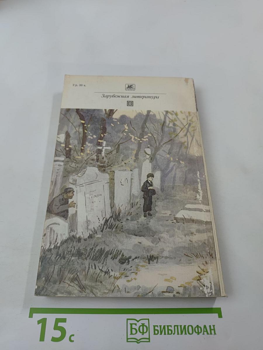 Большие надежды