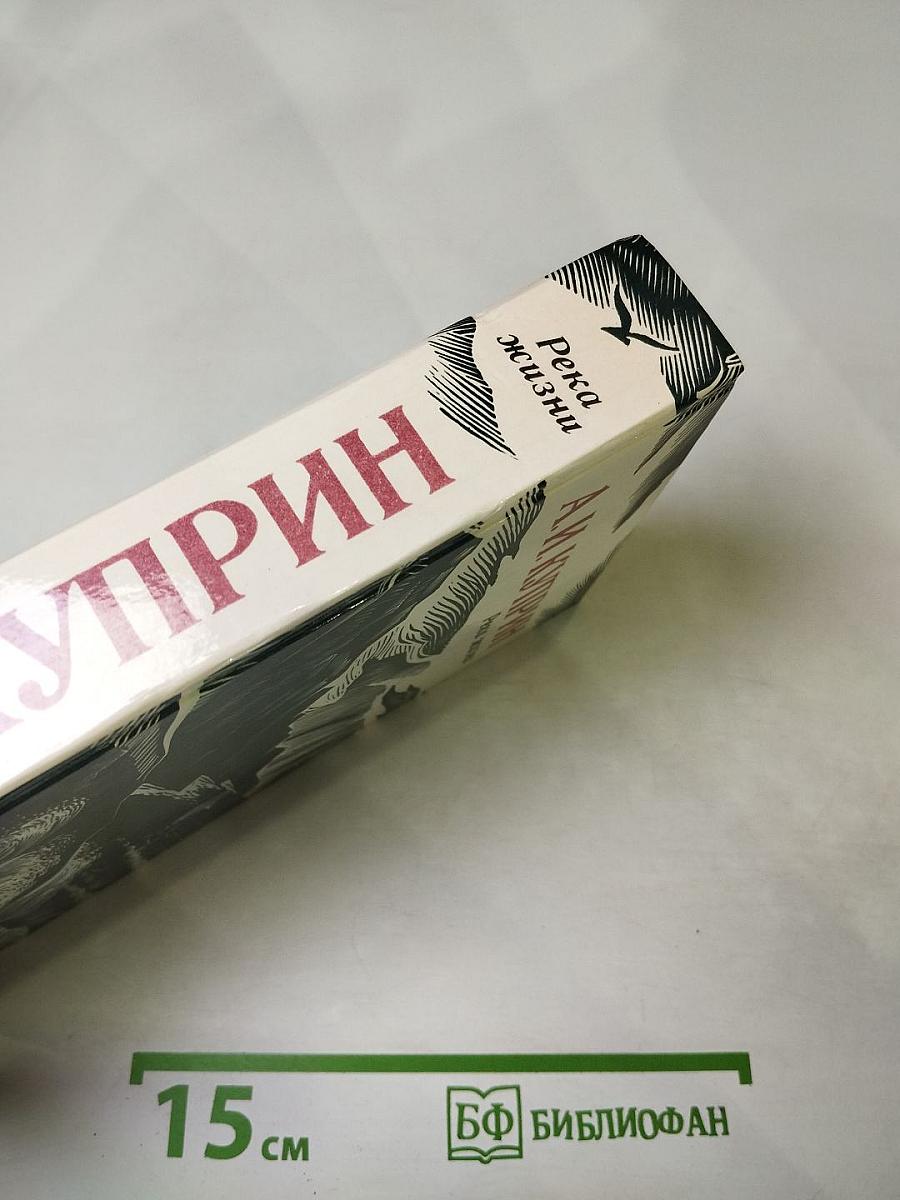 Река жизни. Повести и рассказы