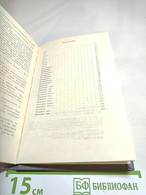 Мечты и Жизнь Сары Бродерхауз