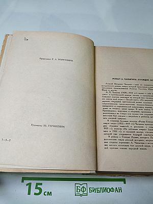 Гулящие люди