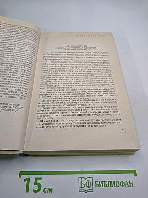 Школьный толковый словарь русского языка. Пособие для учащихся.