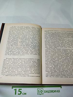 Столкновение. Остросюжетная политическая повесть