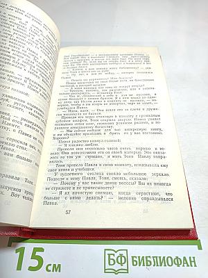 Как закалялась сталь