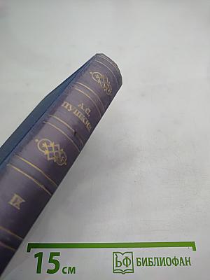 История Петра. Заметки о Камчатке. Том IX