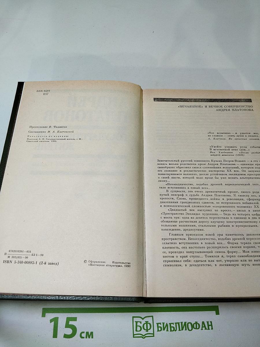 Андрей Платонов. Государственный житель