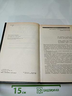 Андрей Платонов. Государственный житель