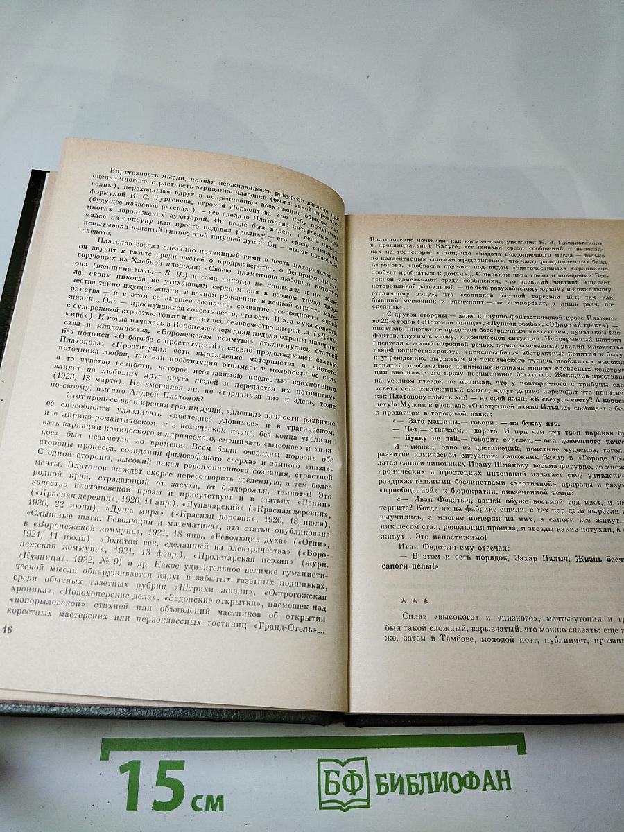 Андрей Платонов. Государственный житель