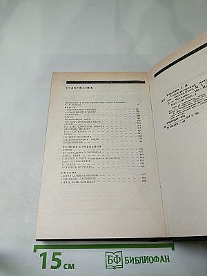 Андрей Платонов. Государственный житель