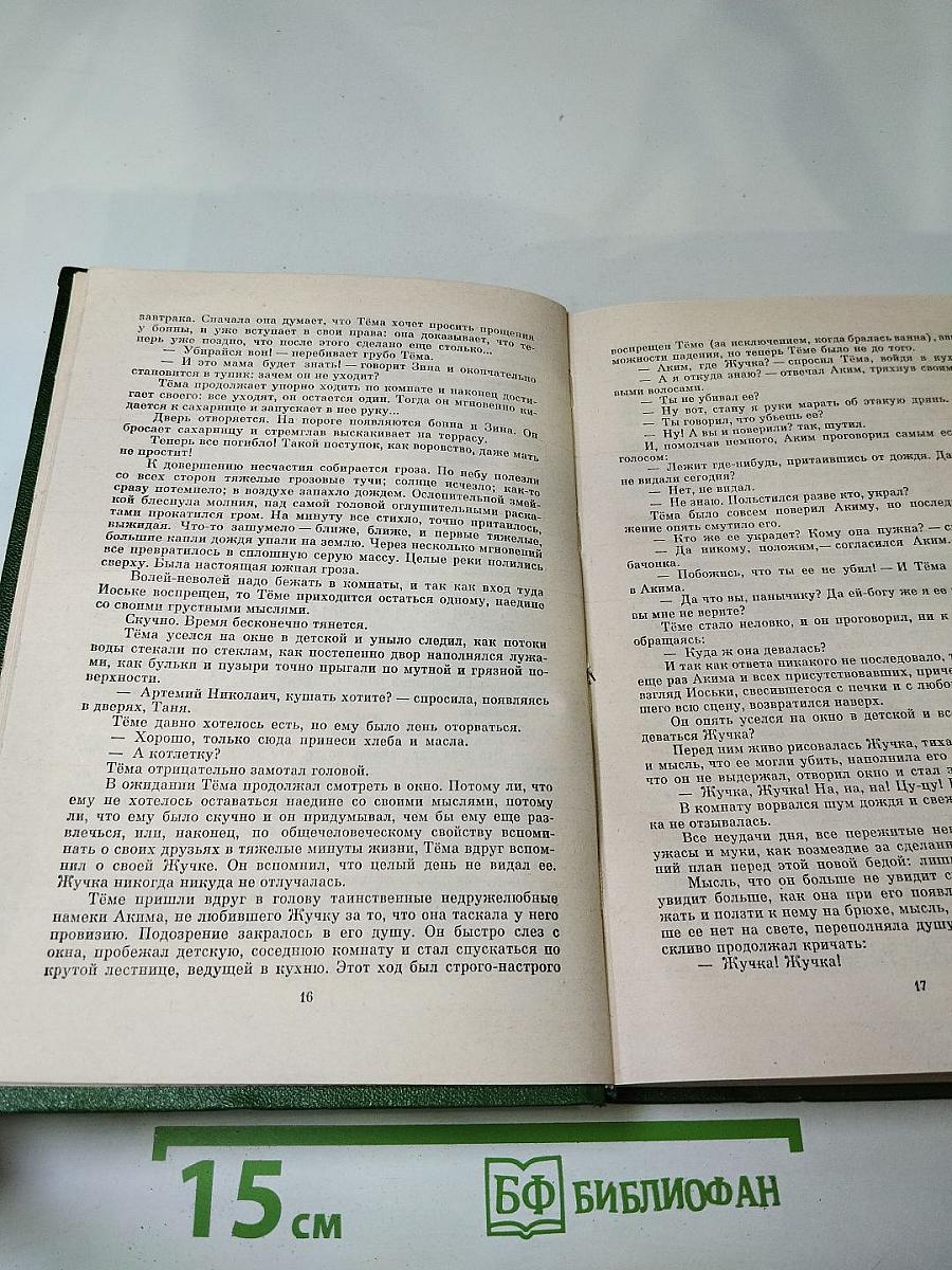 Детство Тёмы. Гимназисты