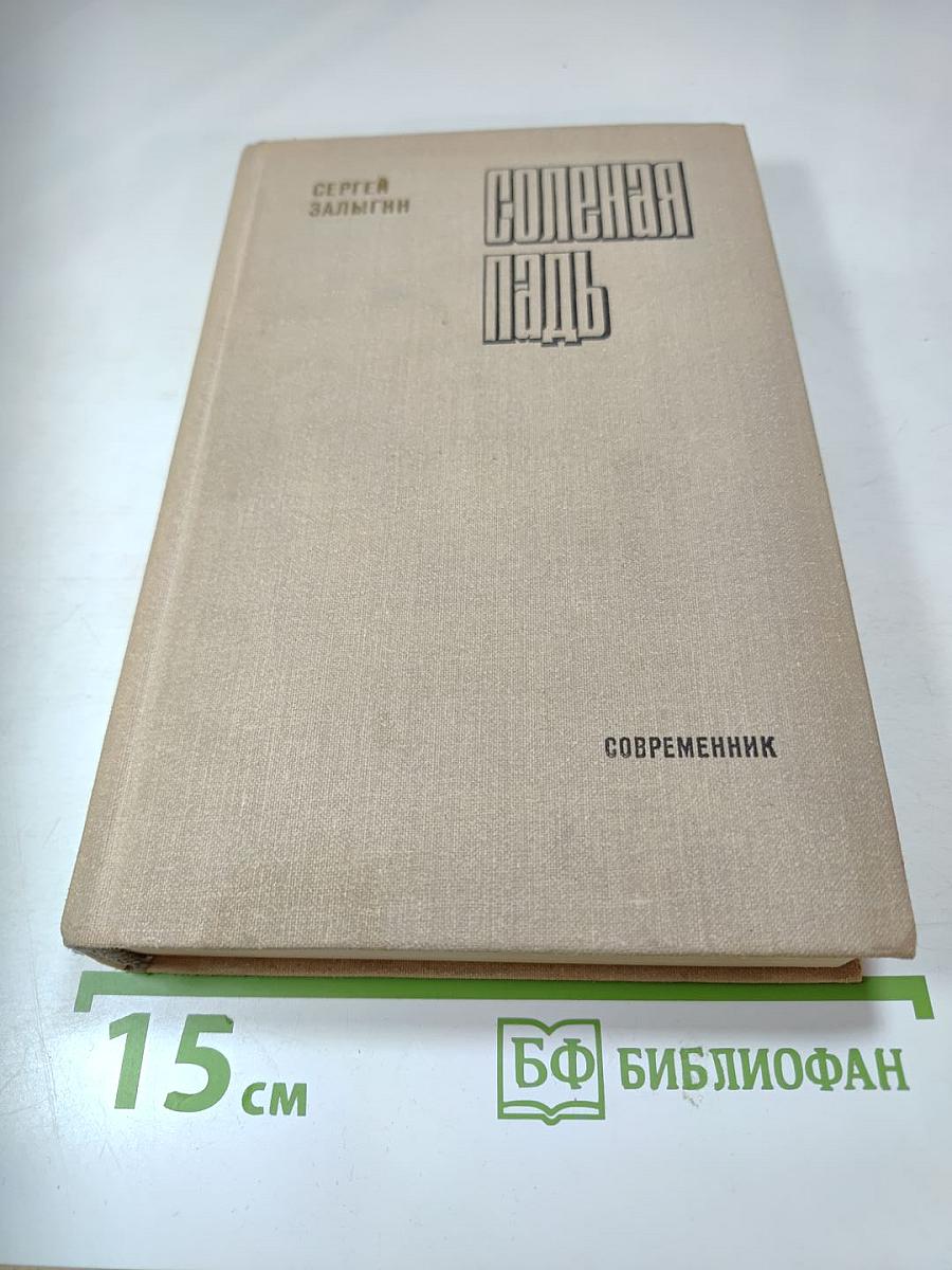 Солёная Падь