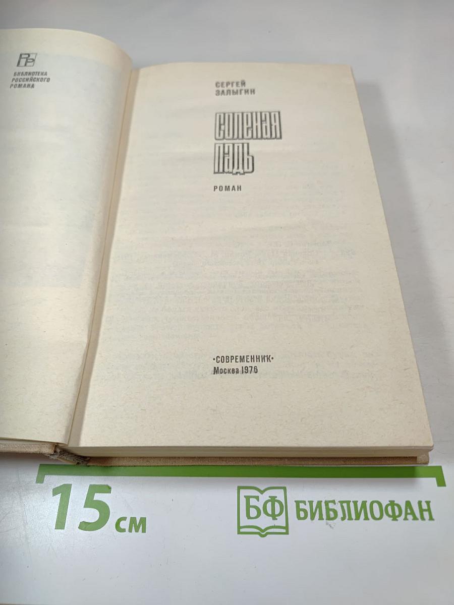 Солёная Падь