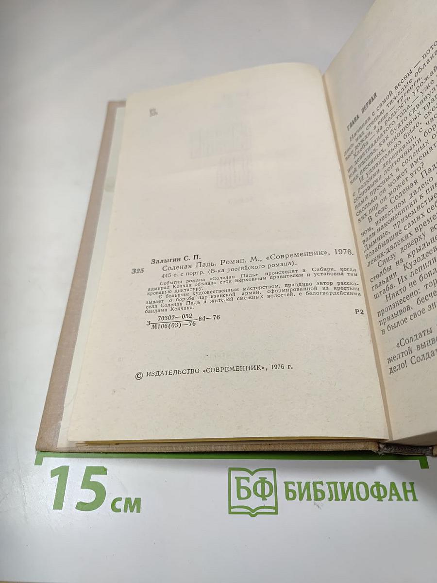 Солёная Падь