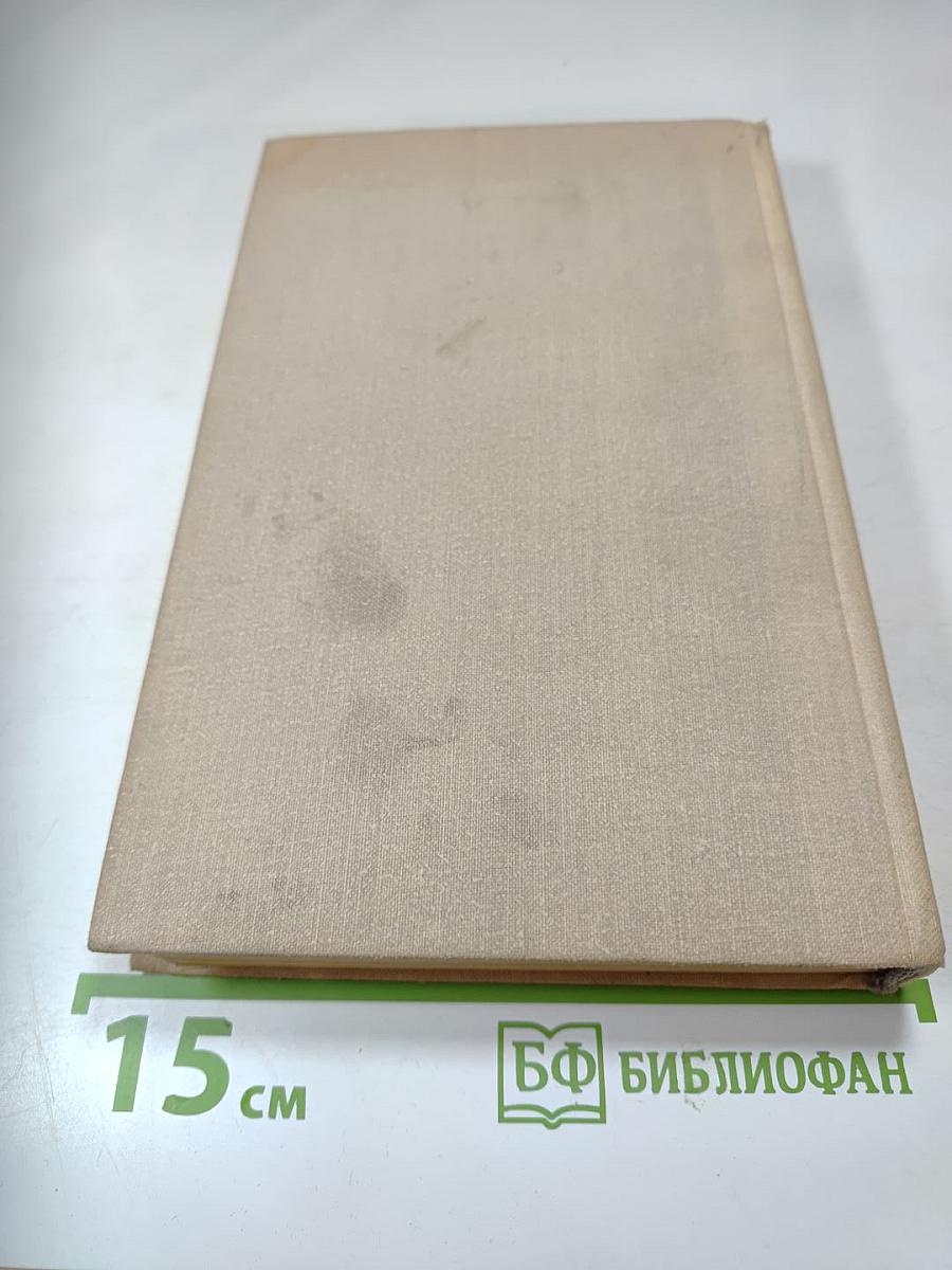 Солёная Падь