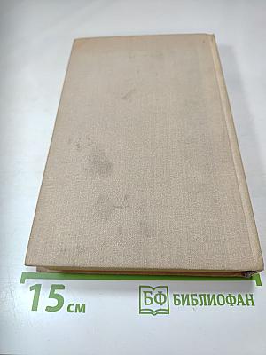 Солёная Падь