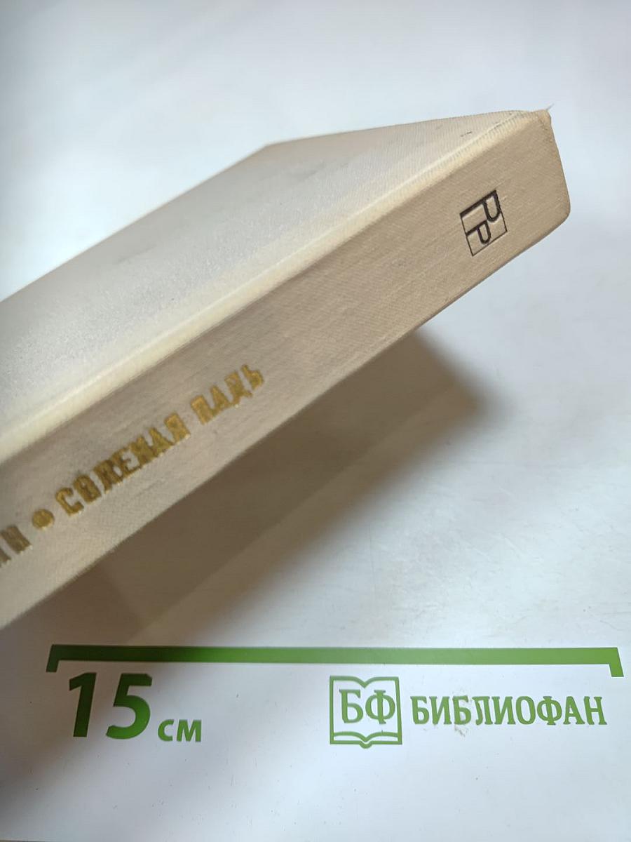 Солёная Падь