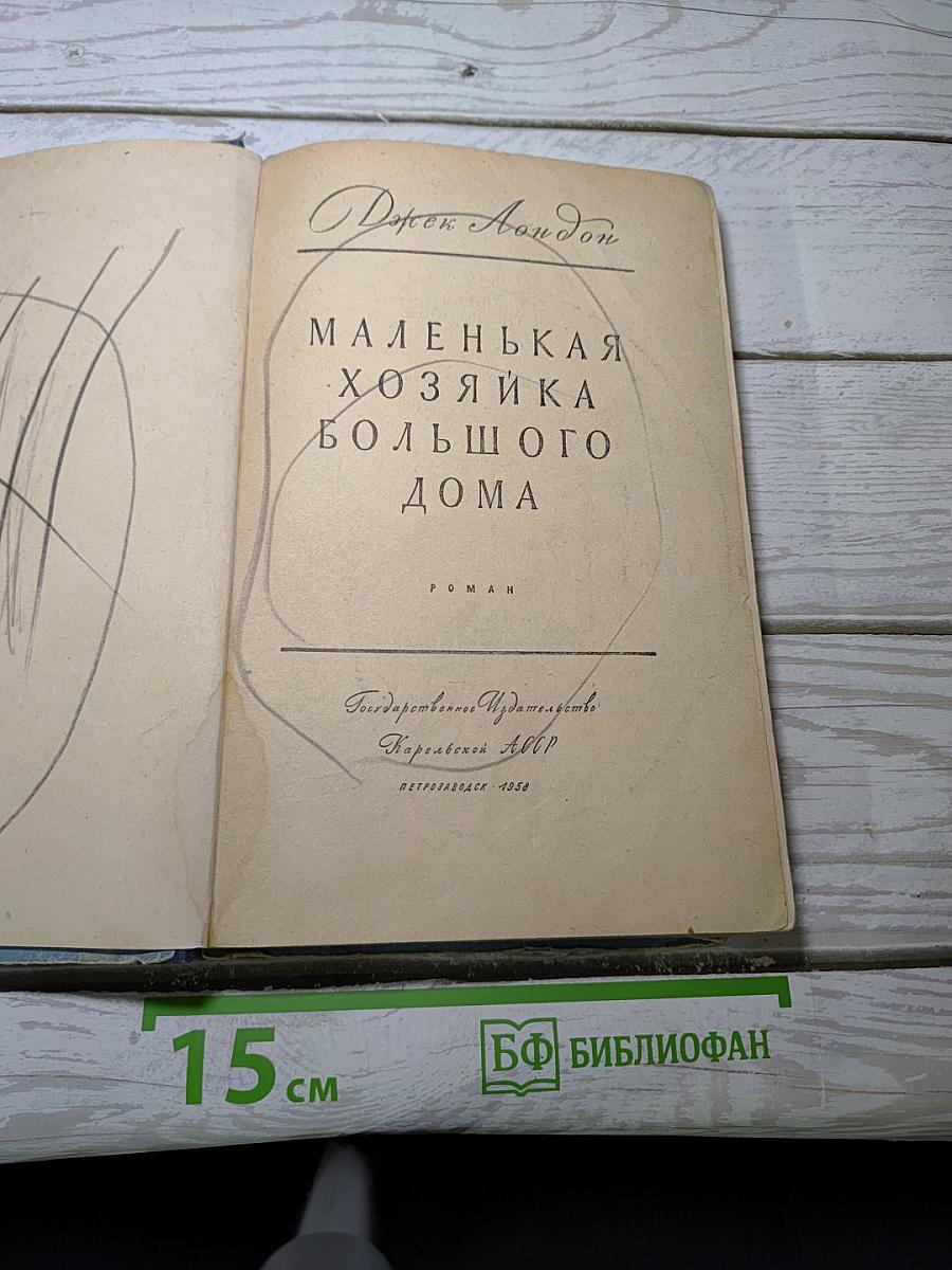 Маленькая хозяйка большого дома