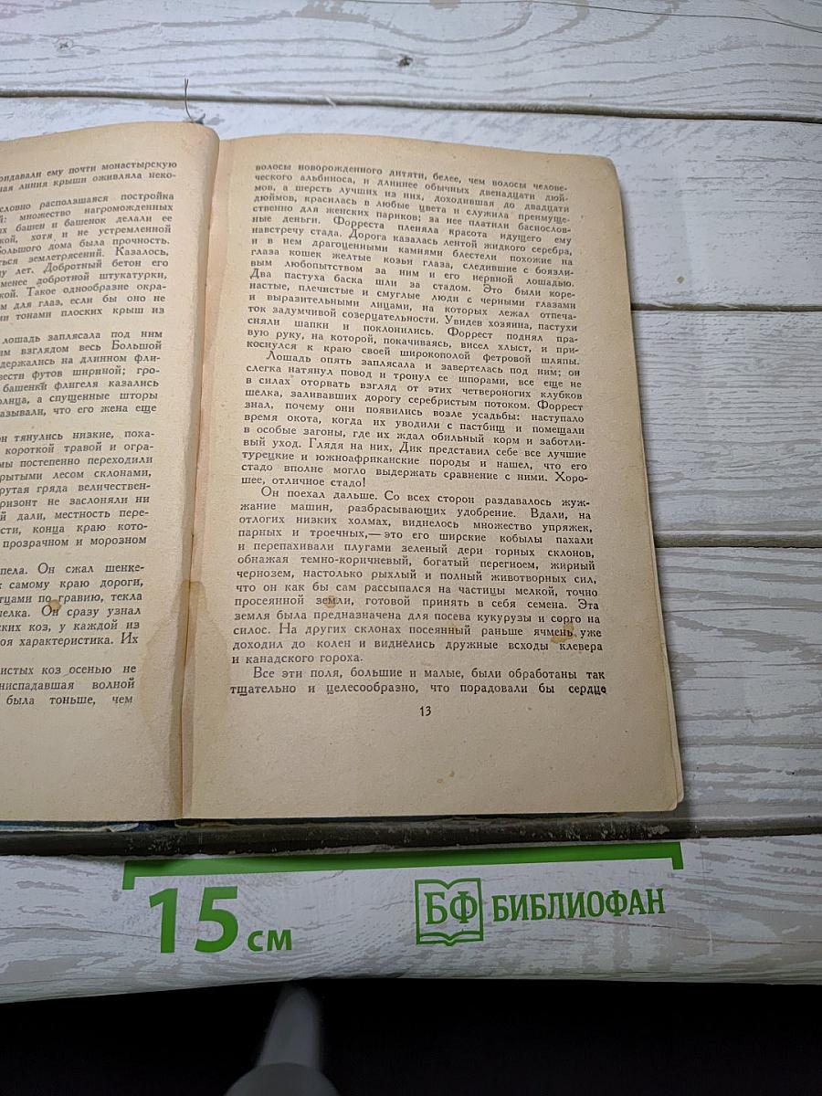 Маленькая хозяйка большого дома