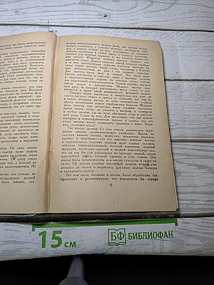 Маленькая хозяйка большого дома