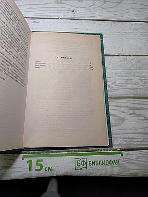 Его Высочество Господин Целитель
