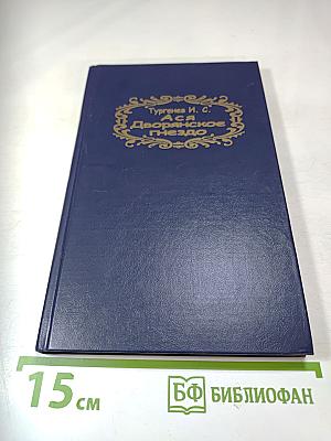 Ася. Дворянское гнездо