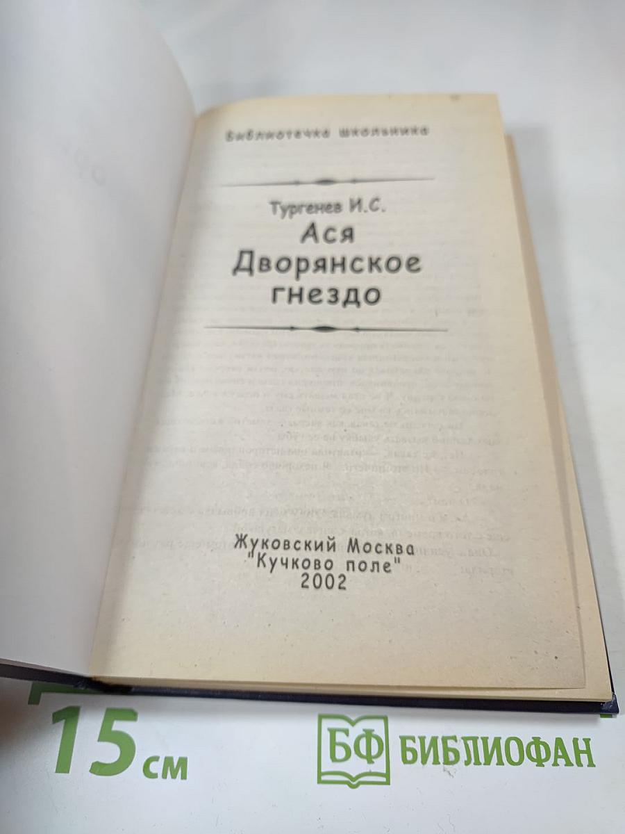 Ася. Дворянское гнездо