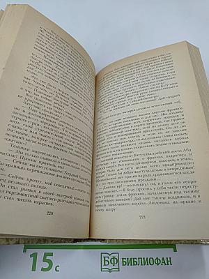 К последнему морю. Юность полководца