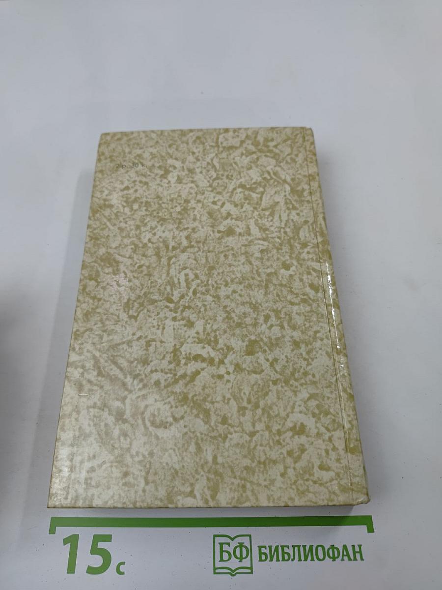 К последнему морю. Юность полководца