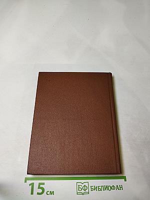 День за днем