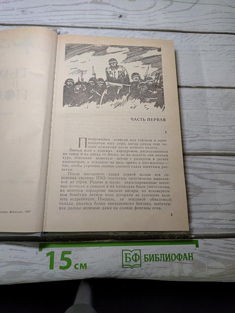 Тьма в полдень