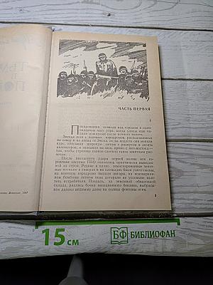 Тьма в полдень