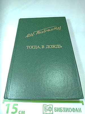 Тогда, в дождь
