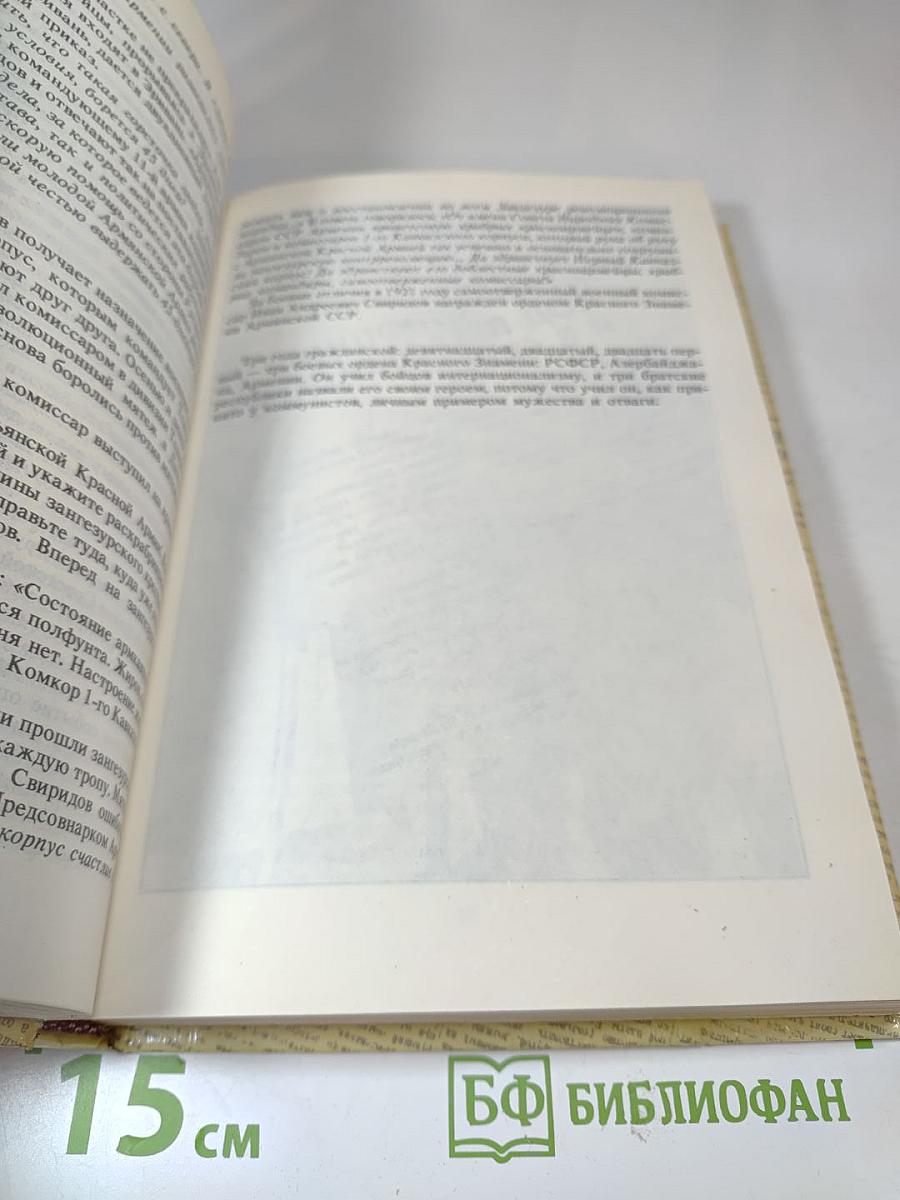 Комиссары на линии огня