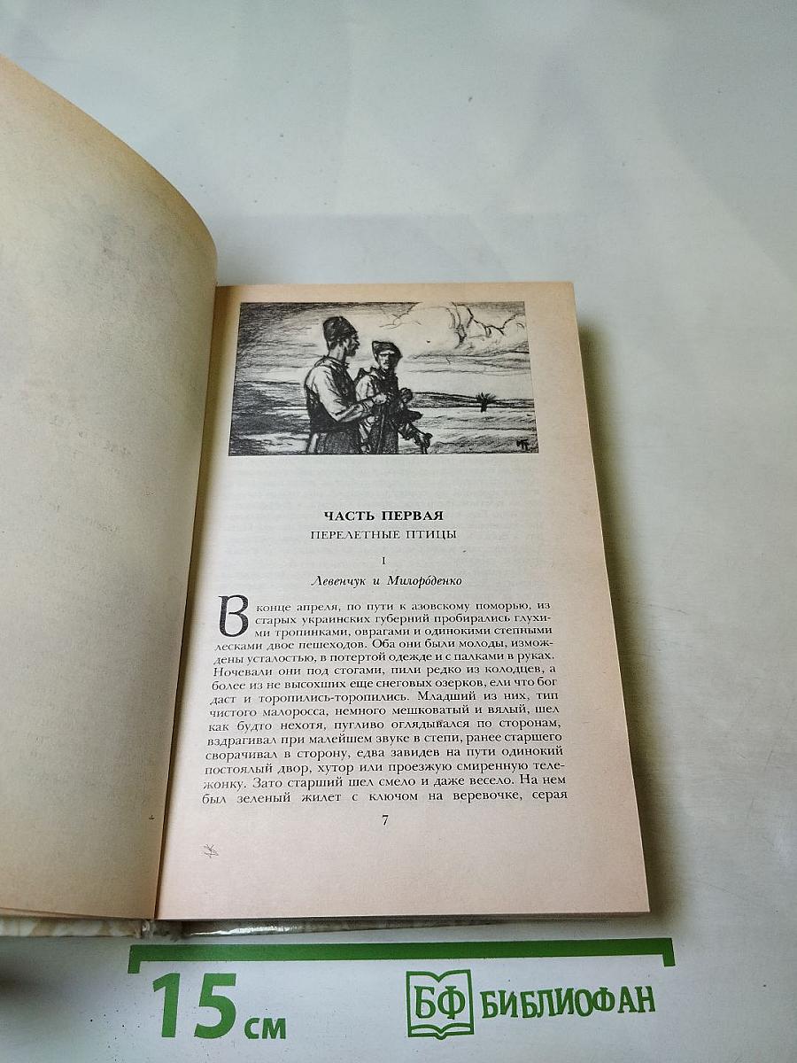 Беглые в Новороссии. Воля. Княжна Тараканова