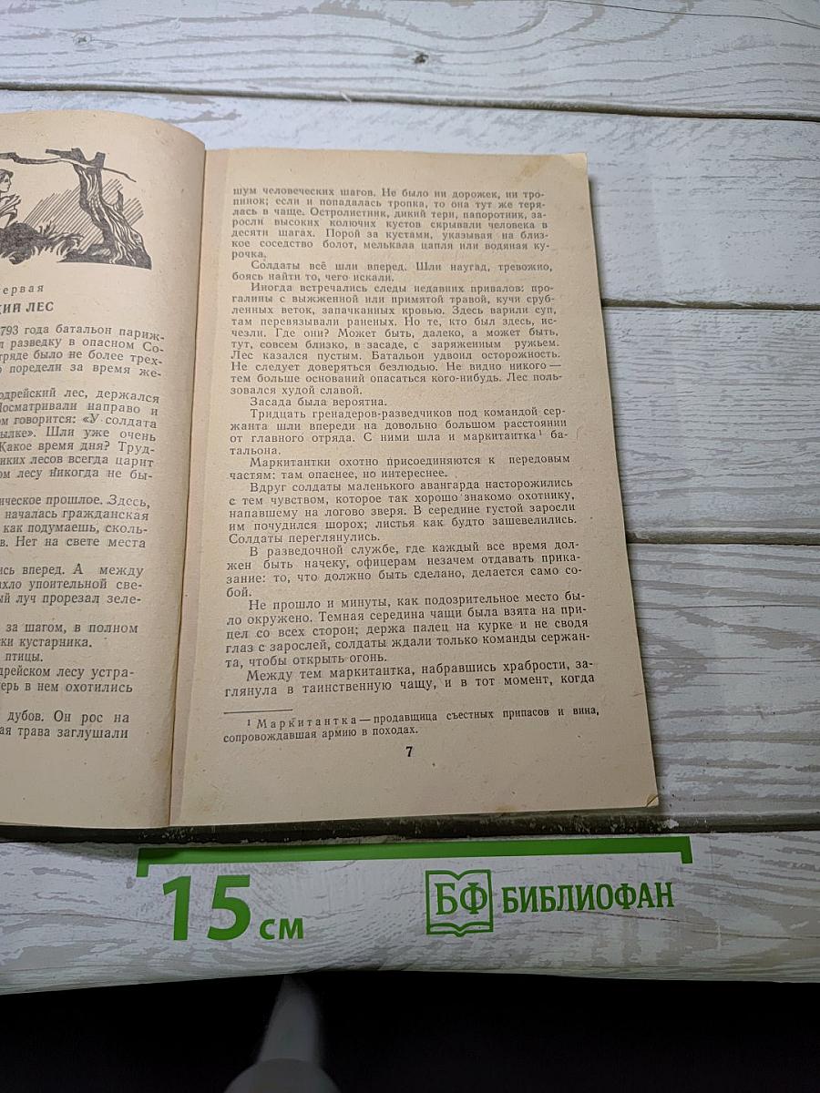 Девяносто третий год