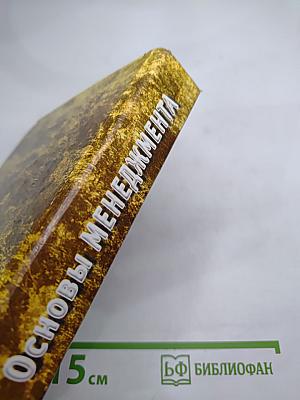 Основы менеджмента