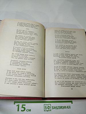 Николай Гумилев Избранное