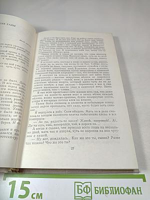 Там, за небосклоном...