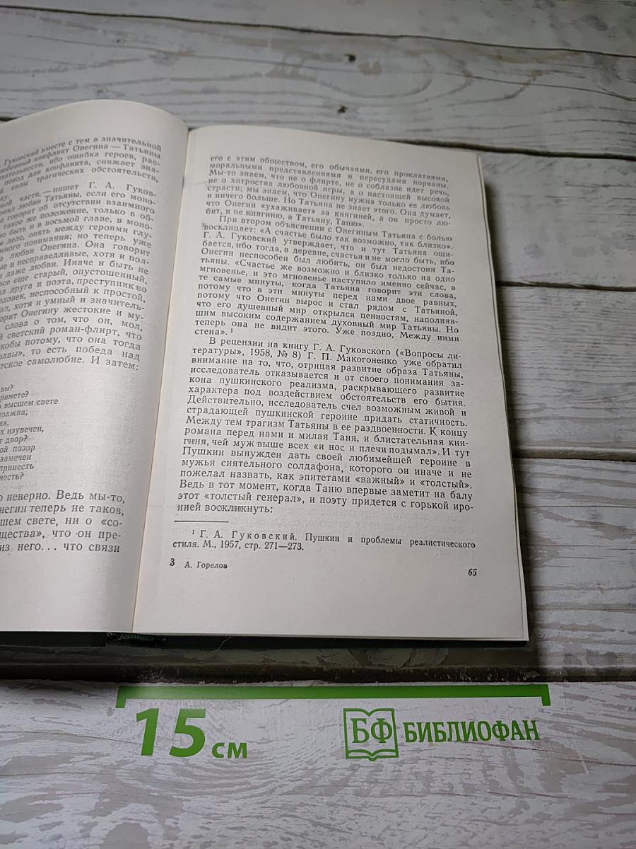Очерки о русских писателях